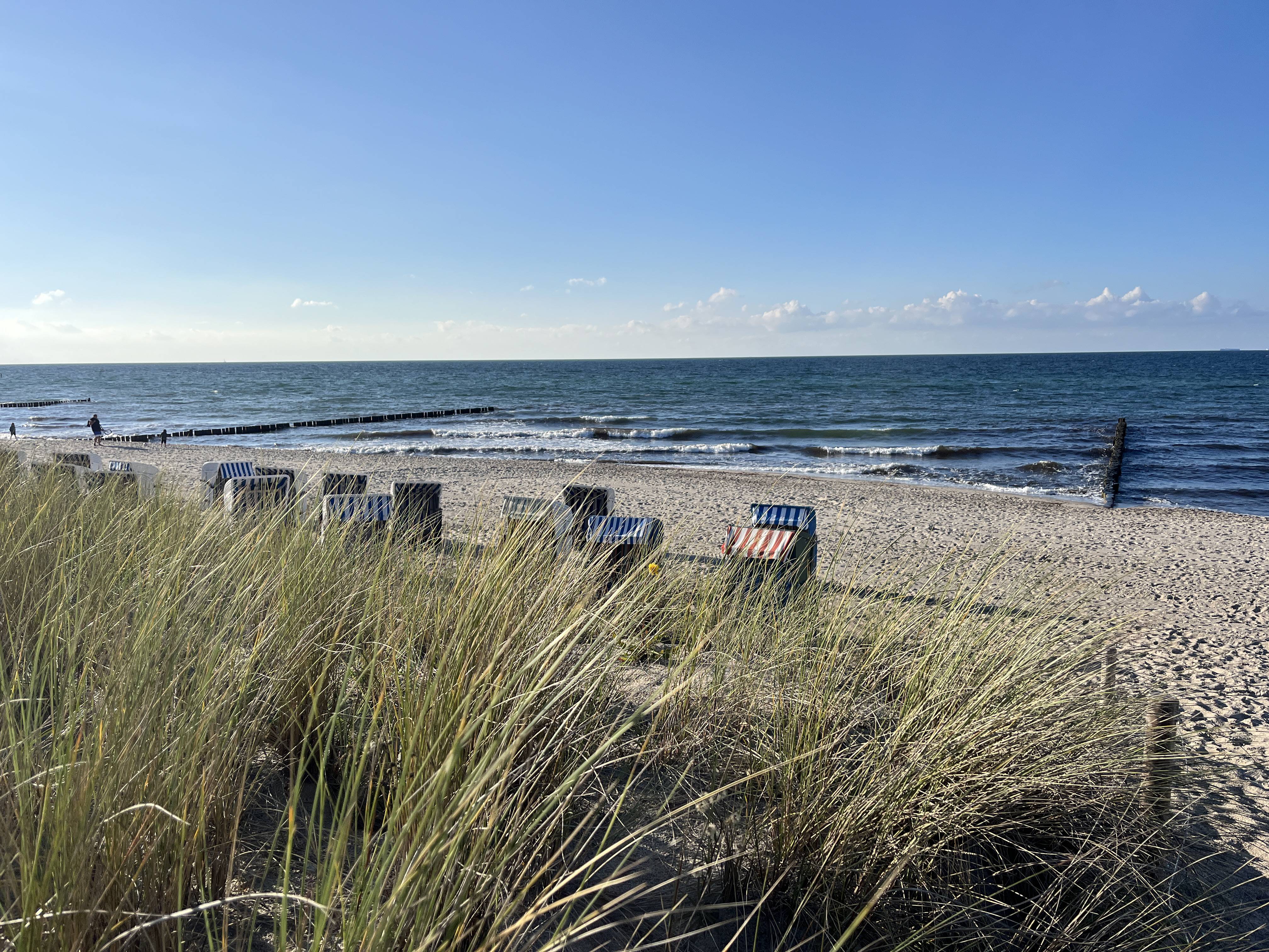 Strandkörbe am Strand der Ostsee