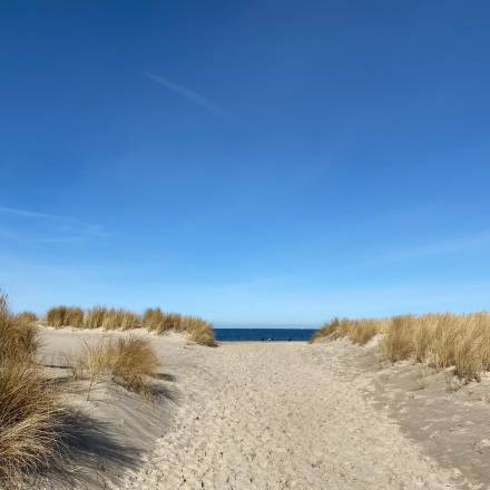 Strandweg führ zum Strand an der Ostsee bei schönem Wetter