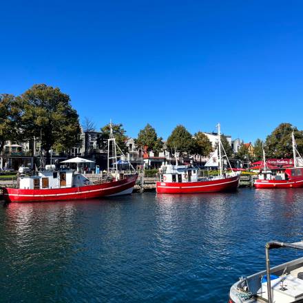 Rote Kutter am Alten Strom Warnemünde