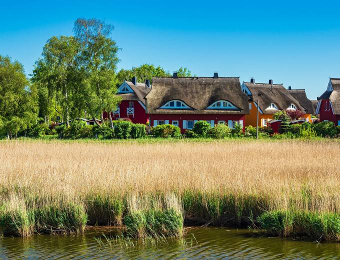 Reetgedecktes Haus in Ahrenshoop