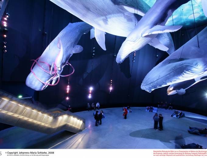 Ozeaneum Stralsund
