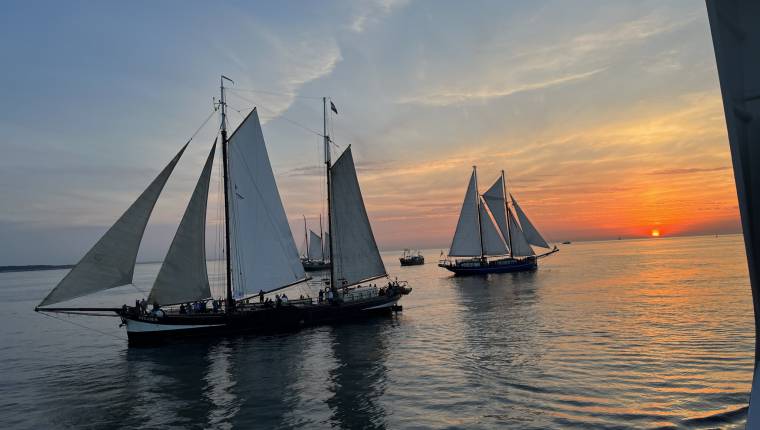 36. Hanse Sail image
													
